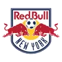شعار Red Bull New York