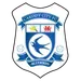 شعار Cardiff City