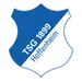 شعار TSG Hoffenheim