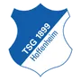 شعار TSG Hoffenheim